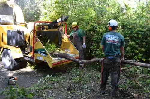 tree services Caney